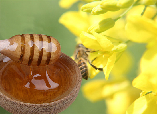 油菜蜜